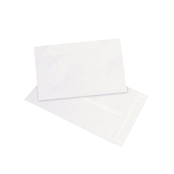 Bsc Preferred 10 x 15'' White Flat Tyvek Envelopes, 100PK BUY00017043 - main